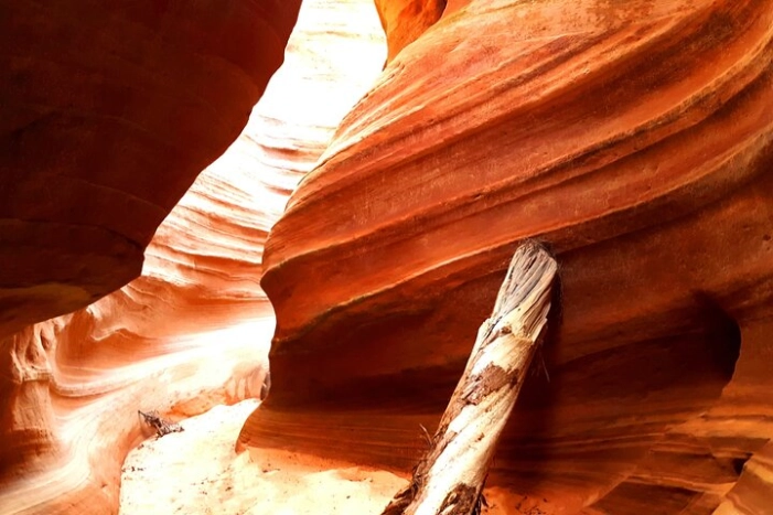 Image 6
