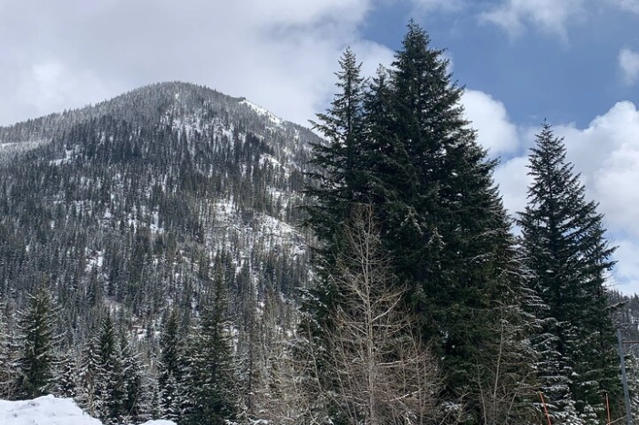 Image 9