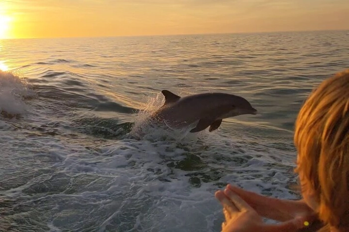 2 Hour Private Dolphin and Sightseeing Tour in Shell Island