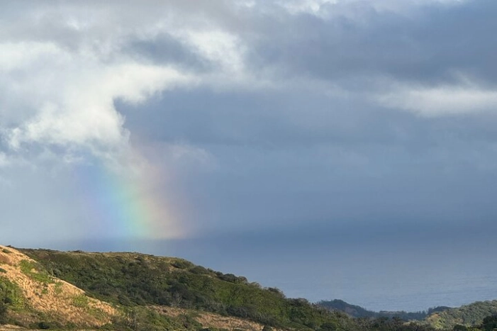 Image 34