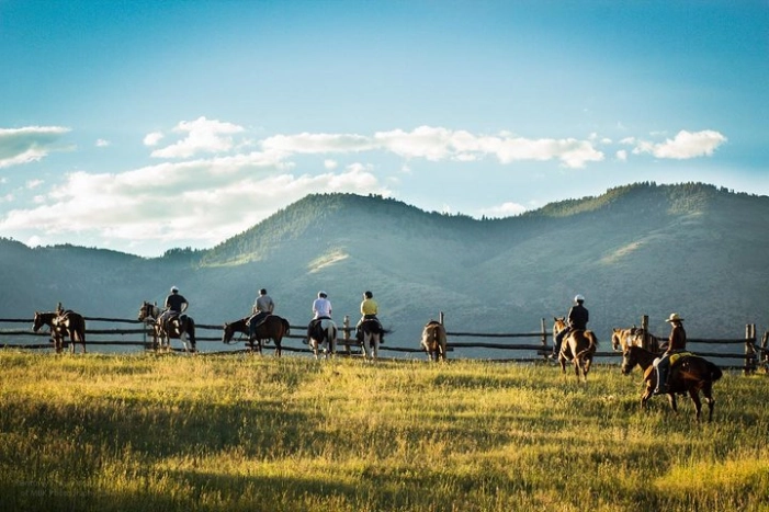 2 Hour Horseback Ride