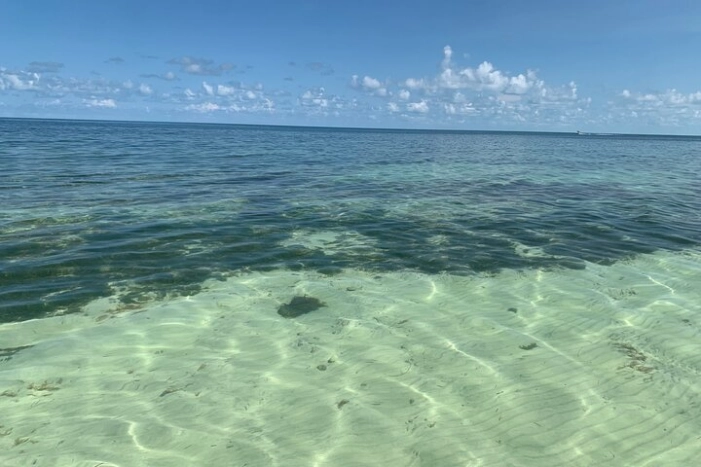Image 12