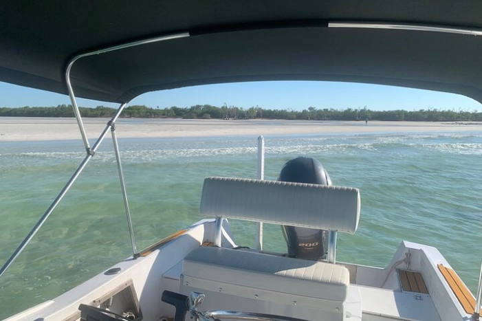 Image 11