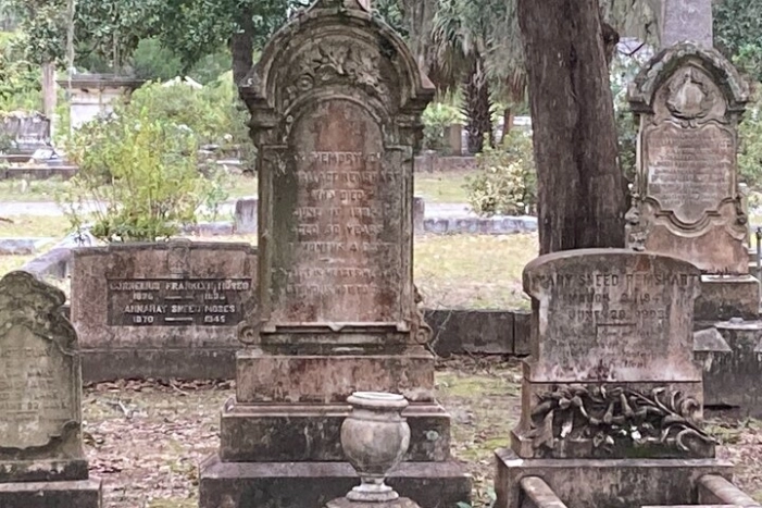 Image 12
