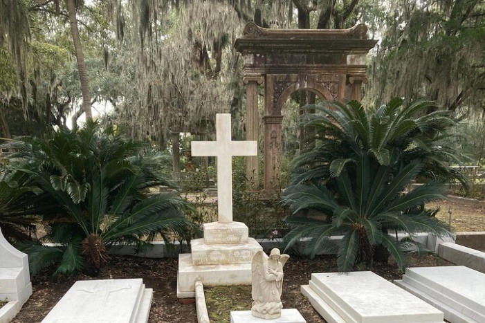 Image 15