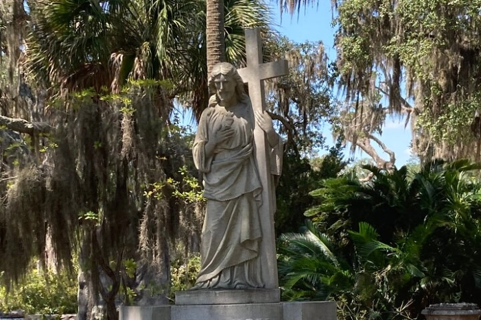 Image 9