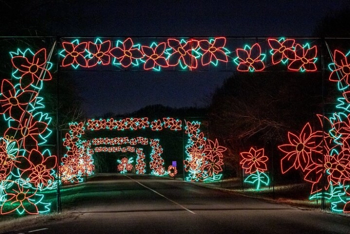 LIghts of Joy Christmas Light Drive-Thru