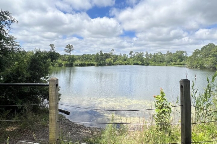 Image 22