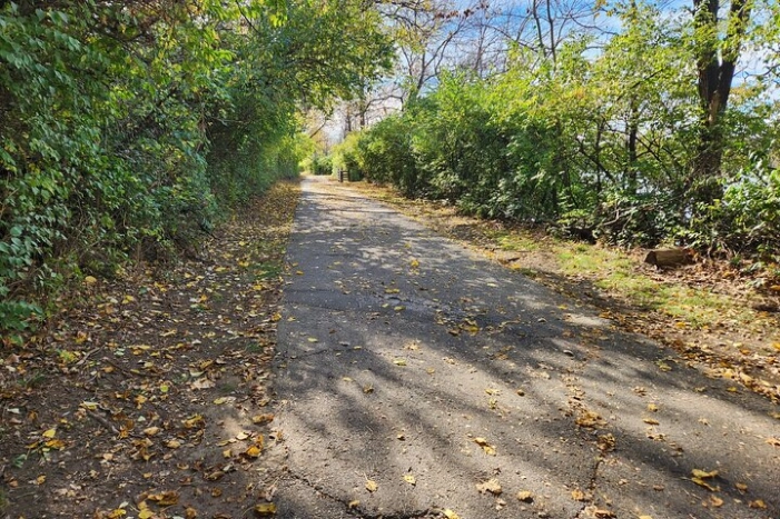 Image 23