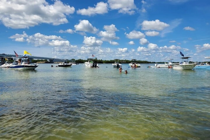 Image 7
