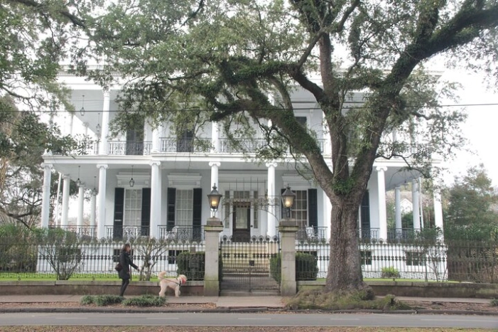 Image 7