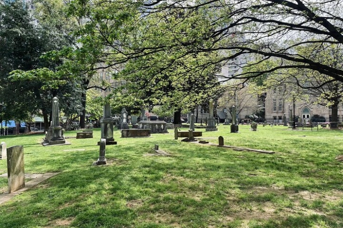 Image 11