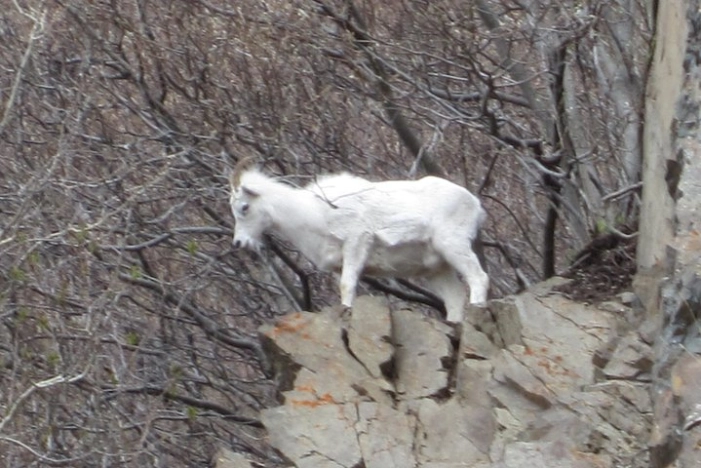 Image 8
