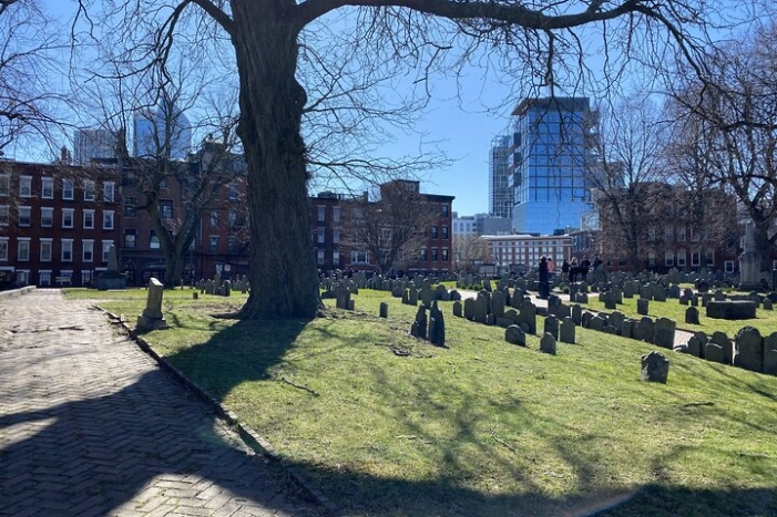 Image 15
