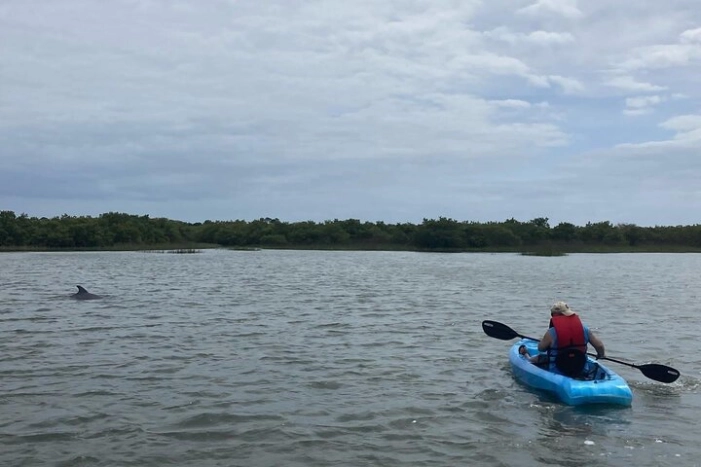 Image 7