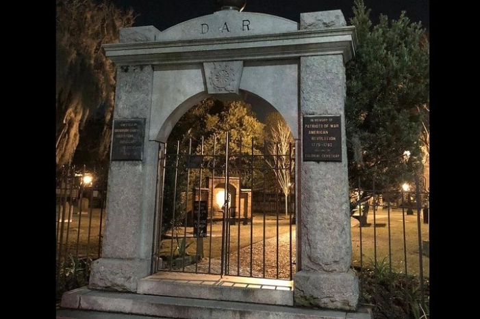 Image 4