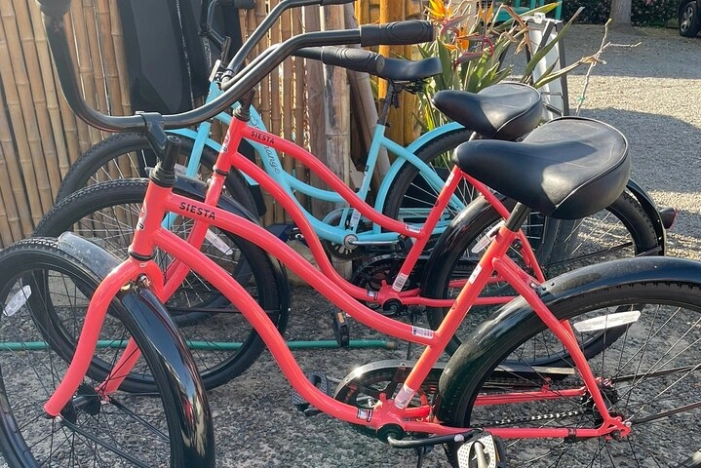 Beach Cruiser Bike Rental All Day Solana Beach