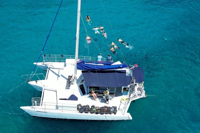 Sail and Turtle Snorkeling Tour in Waikiki