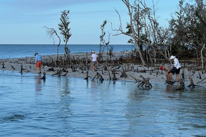 Image 10
