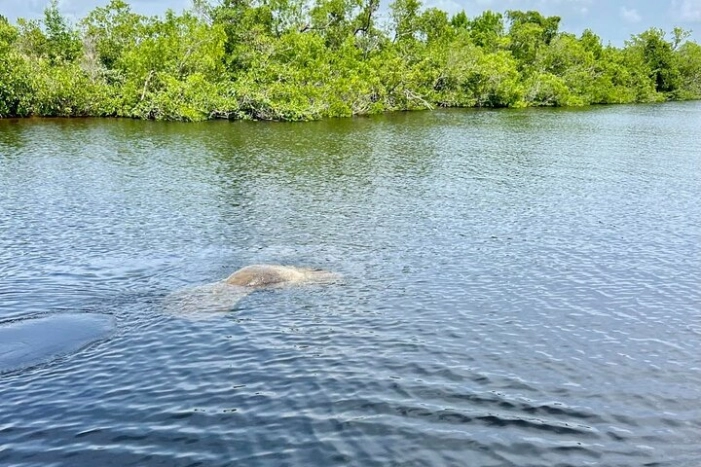 Image 22