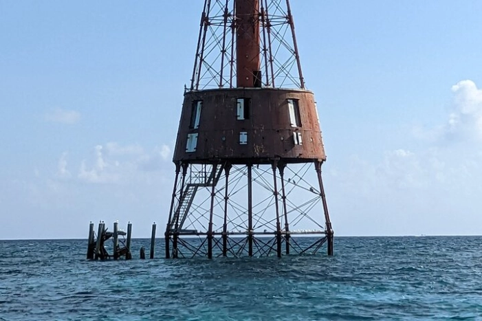 Image 7