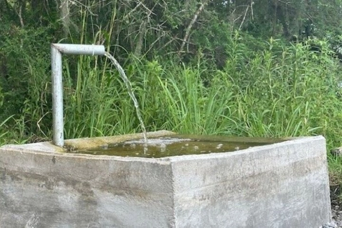 Image 18