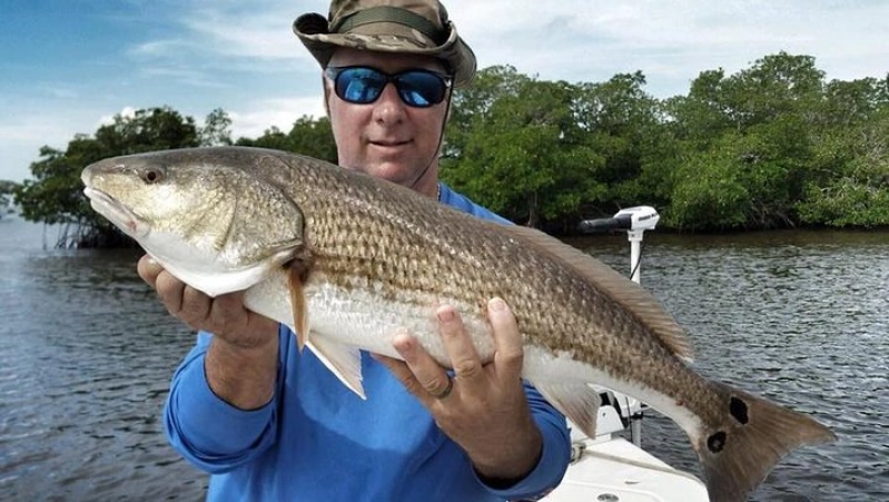 Amelia Island Inshore Fishing Charter