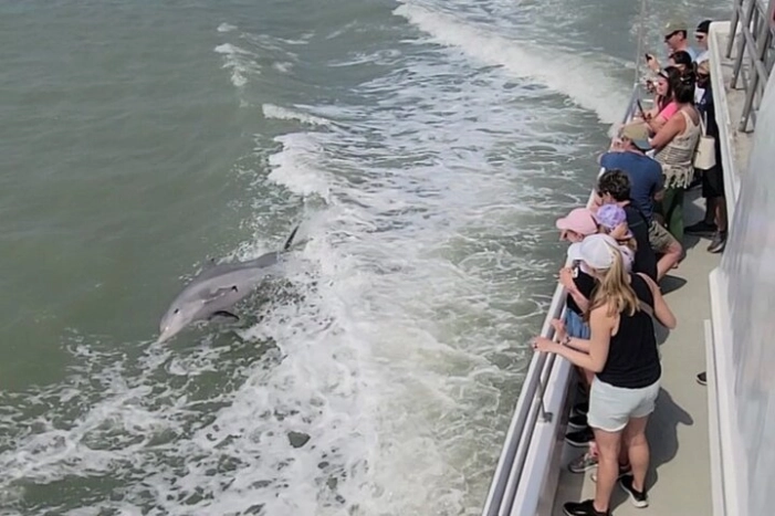 Sunset Dolphin Watch Tour