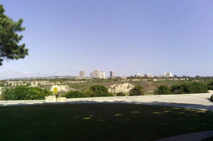 Image 12