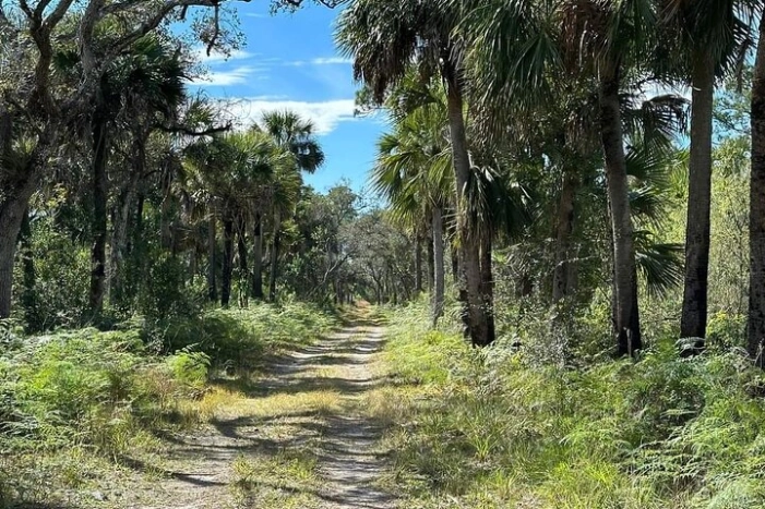 Image 7