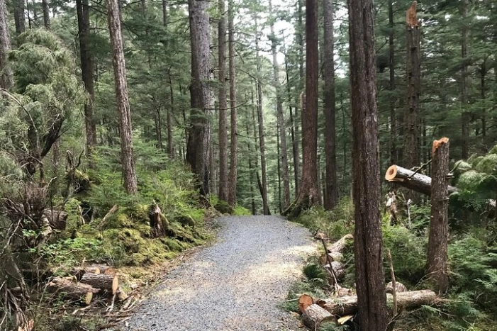 Image 19