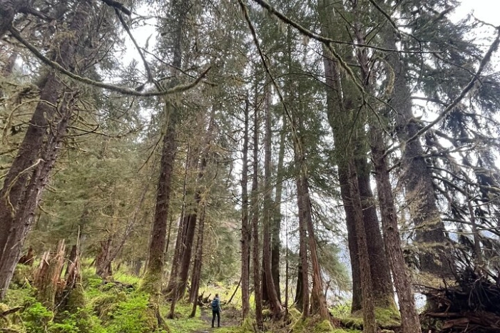 Image 6
