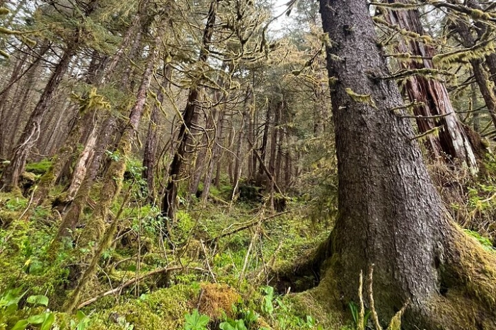 Image 11