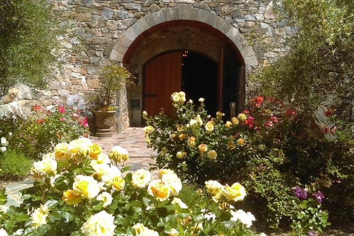 Image 4