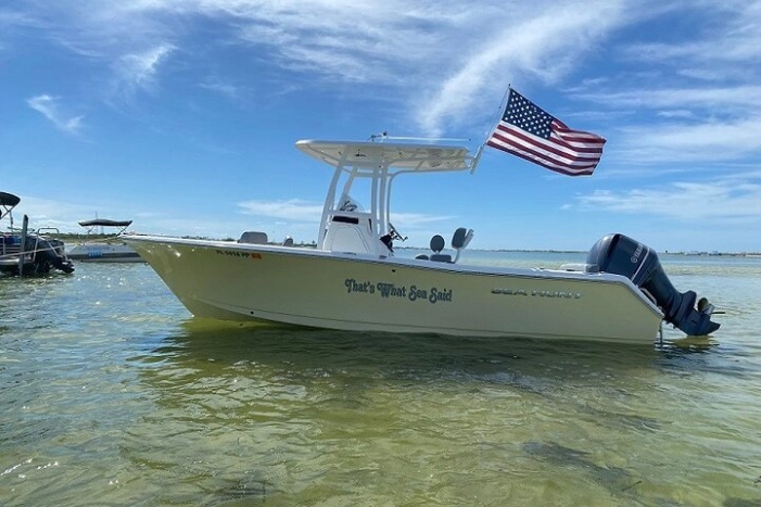 Madeira Beach - Shell Key - Dolphins - Half Day Private Boat Tour