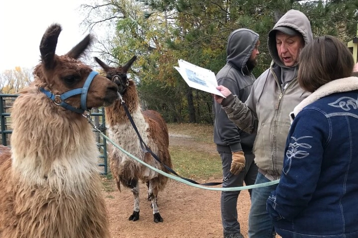 Llama Encounter