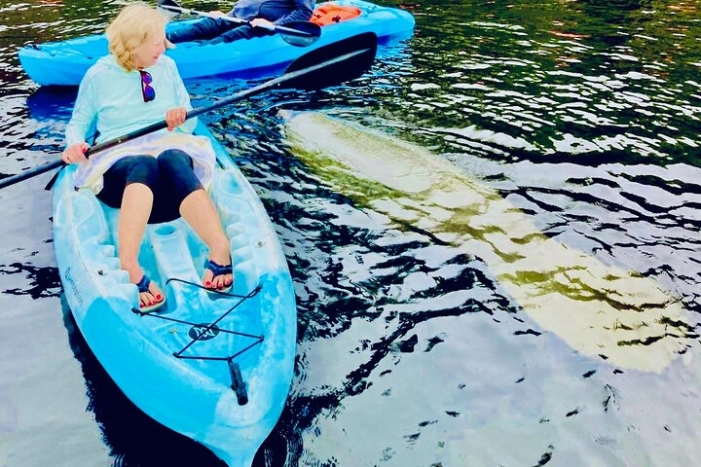 Dolphin, Manatee and Sea Turtle Kayak Adventure 
