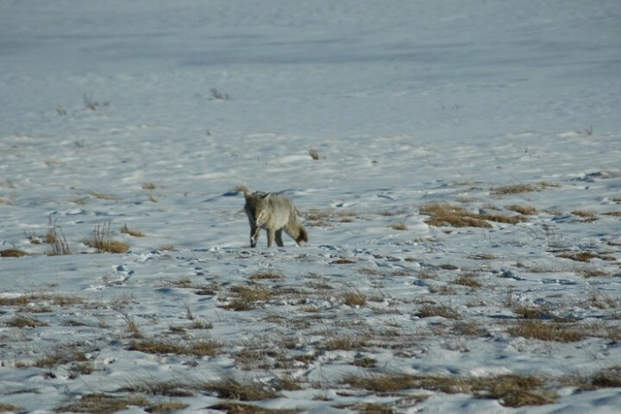 Image 14