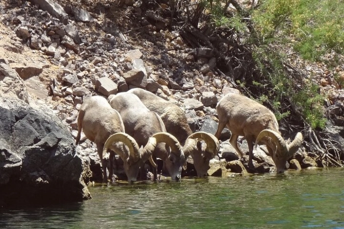 Image 7