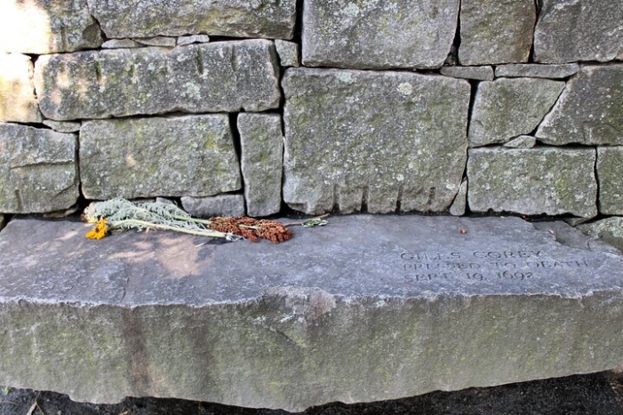 Image 13