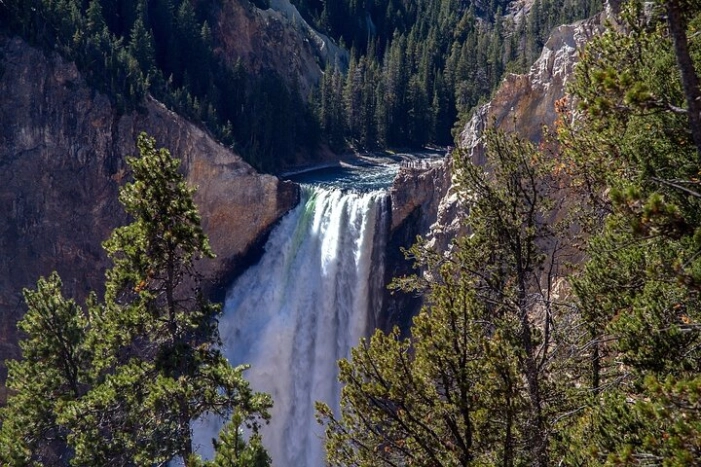 Image 11