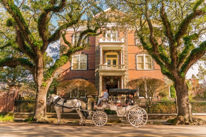 Private Daytime Horse-Drawn Carriage Tour of Charleston 