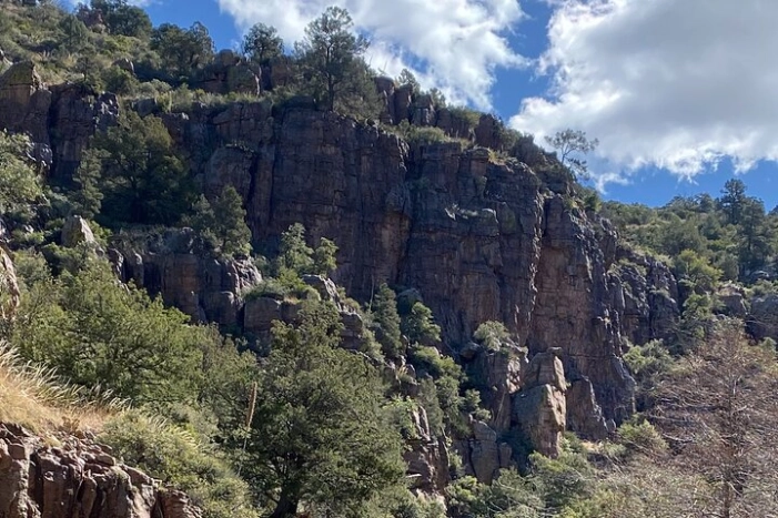 Image 8