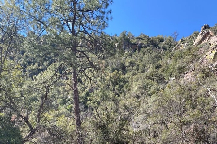 Image 15