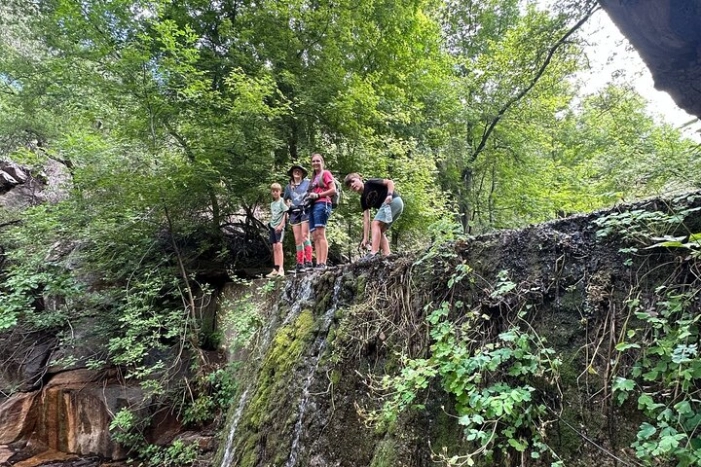 Image 11