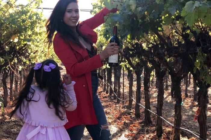 8 Hours 12 Passengers limo bus for Napa or Sonoma wine tour 