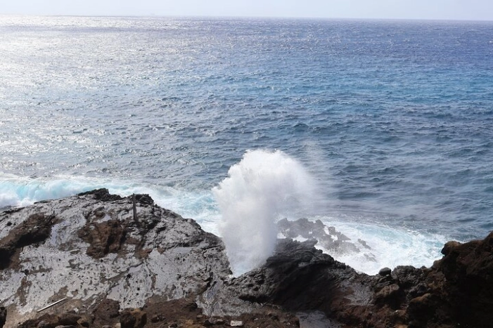 Image 13