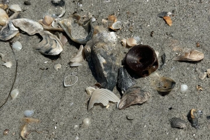Image 18
