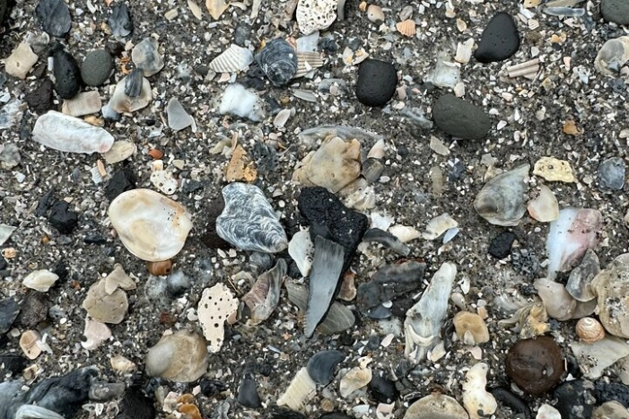 Image 22