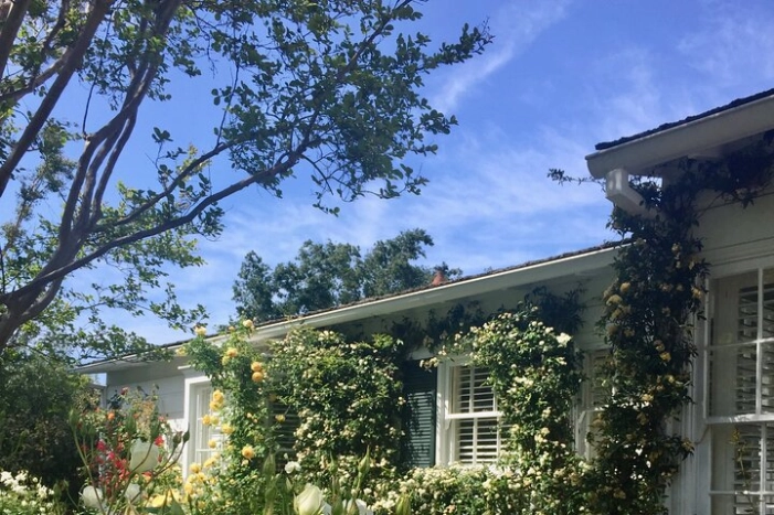 Image 7